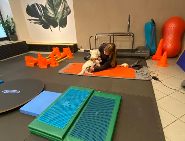 play with dog