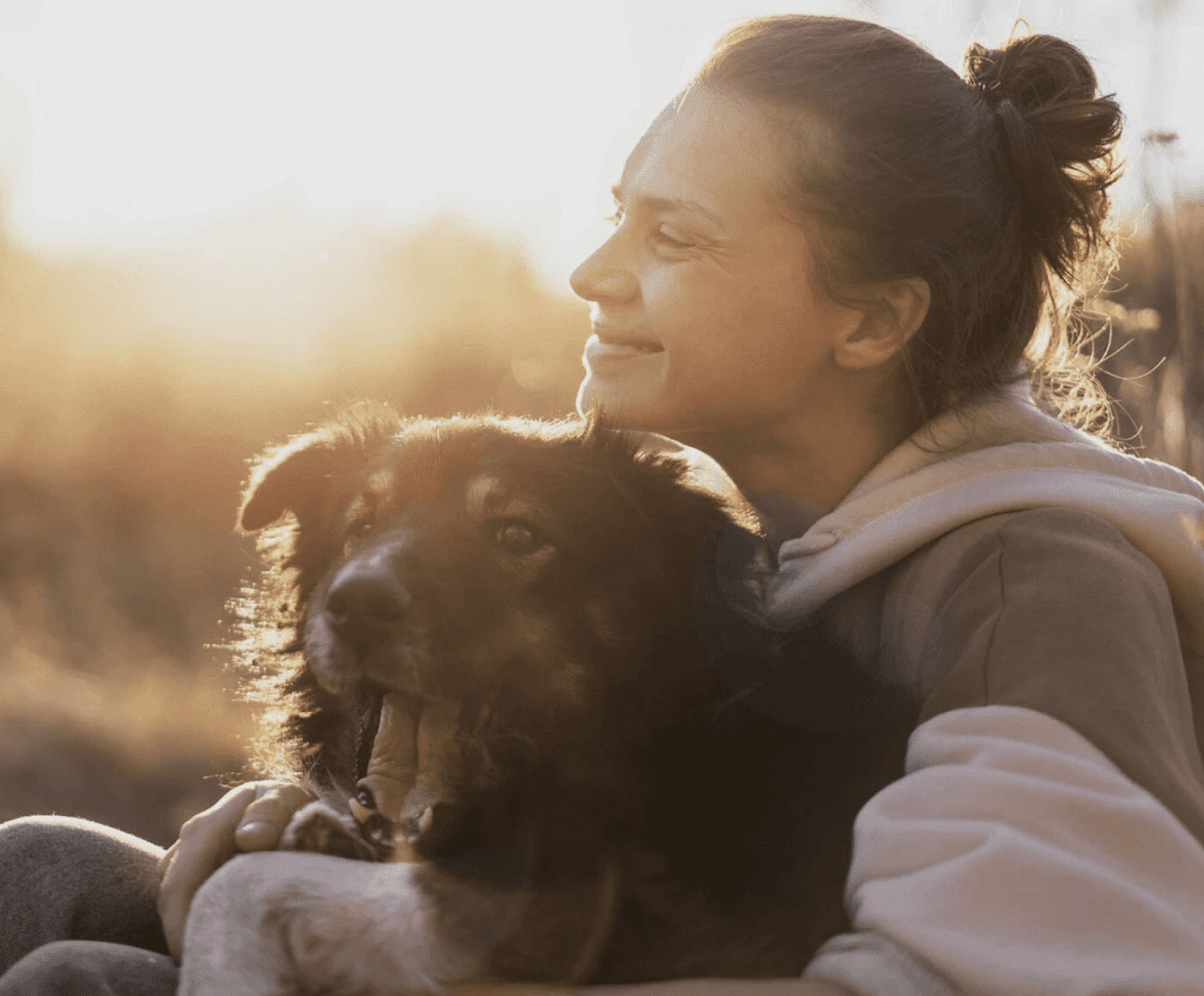 Safe and speedy recovery for your dog, complete peace of mind for you.